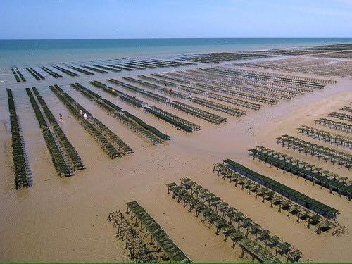 Maison Renovee En Pierres Sejour Spacieux Avec Jardin Et Terrasse Amenagee Pres Omaha Beach & Bayeux A 5Mn De La Mer Tous Commerces Commes Exterior foto